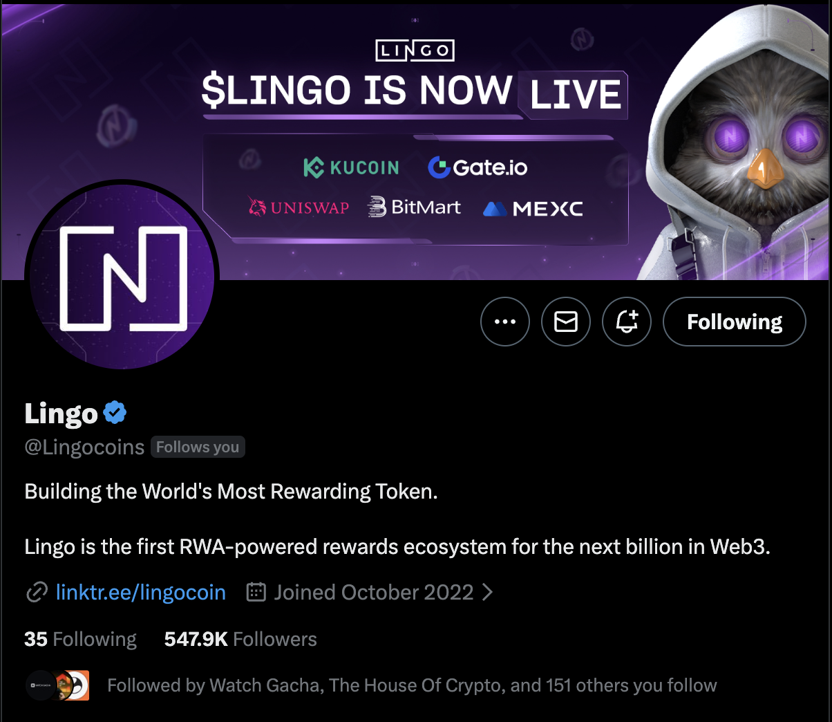 Lingo Twitter - 547K Followers